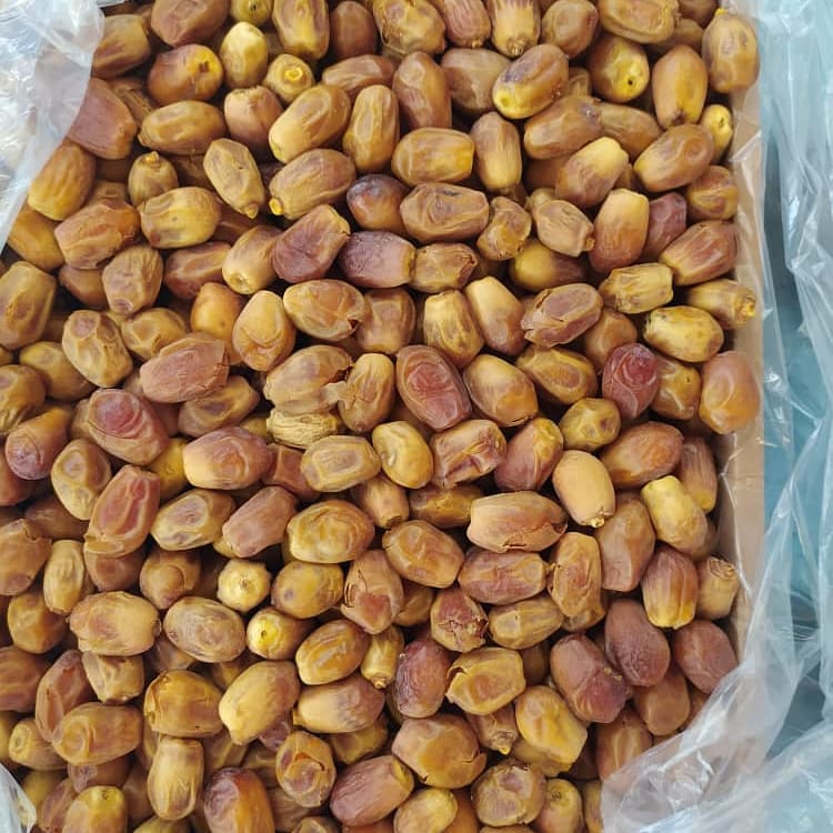 تصویر 4 از شرکت صادرات خرما زاهدی ایران با قیمت عمده