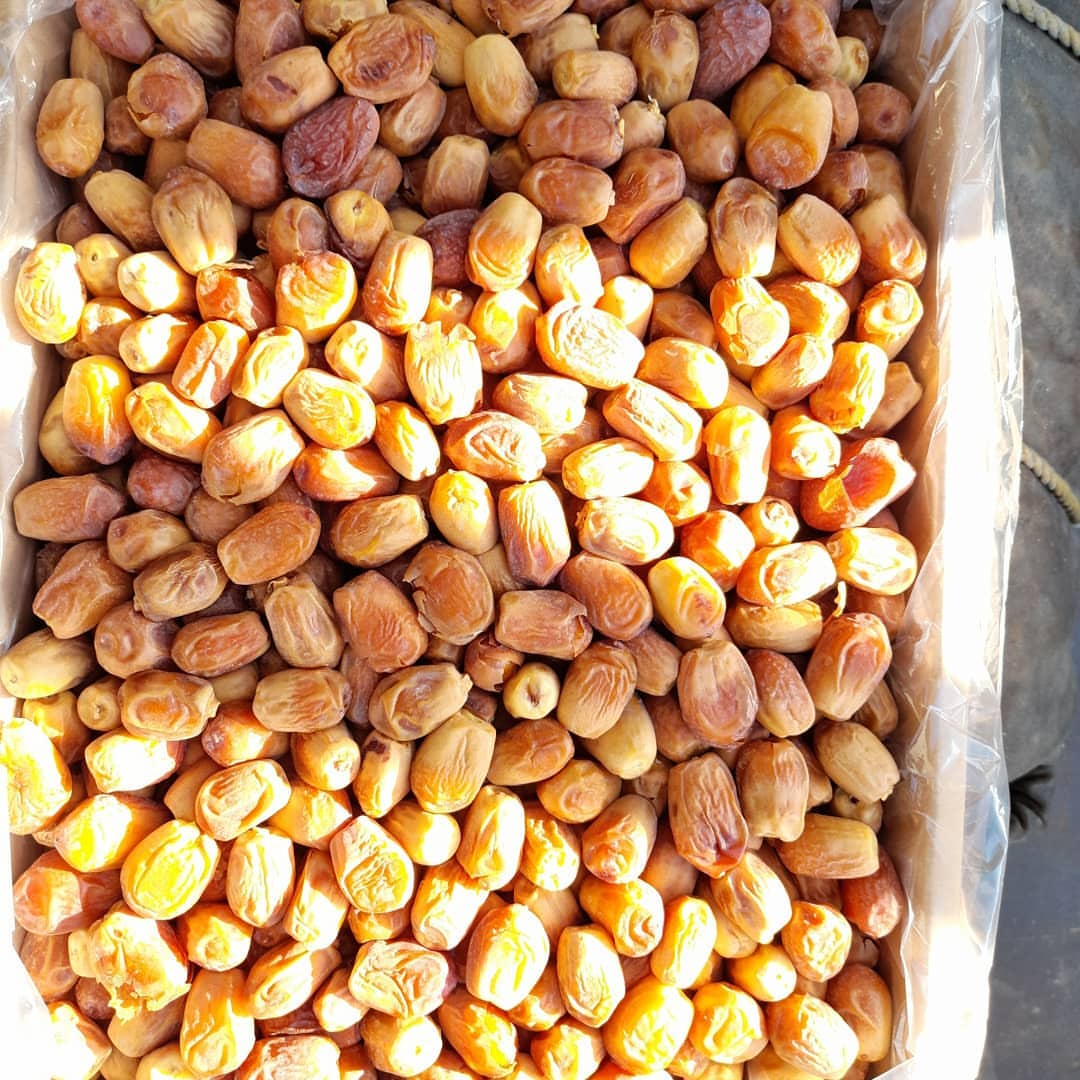 تصویر 1 از شرکت صادرات خرما زاهدی ایران با قیمت عمده