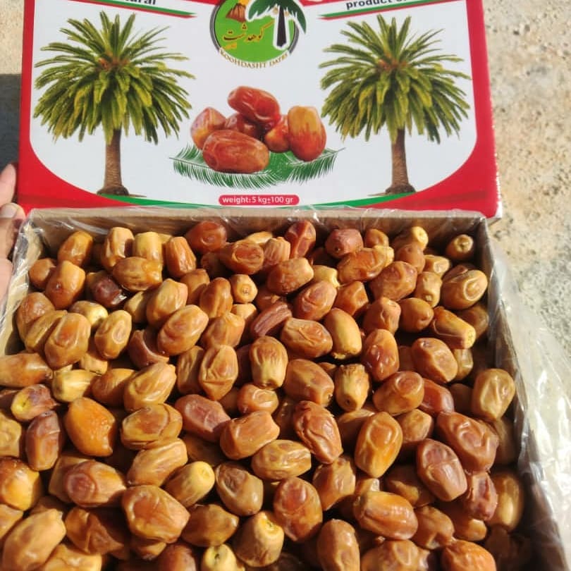 تصویر 3 از خرید مستقیم خرما زاهدی از تولیدکننده با قیمت رقابتی