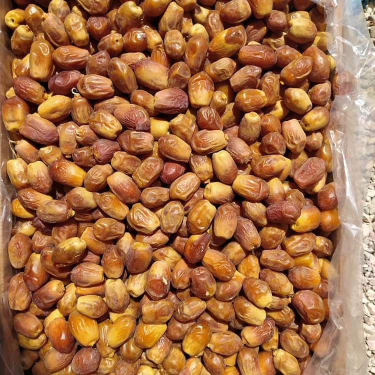 تصویر 1 از خرید مستقیم خرما زاهدی از تولیدکننده با قیمت رقابتی