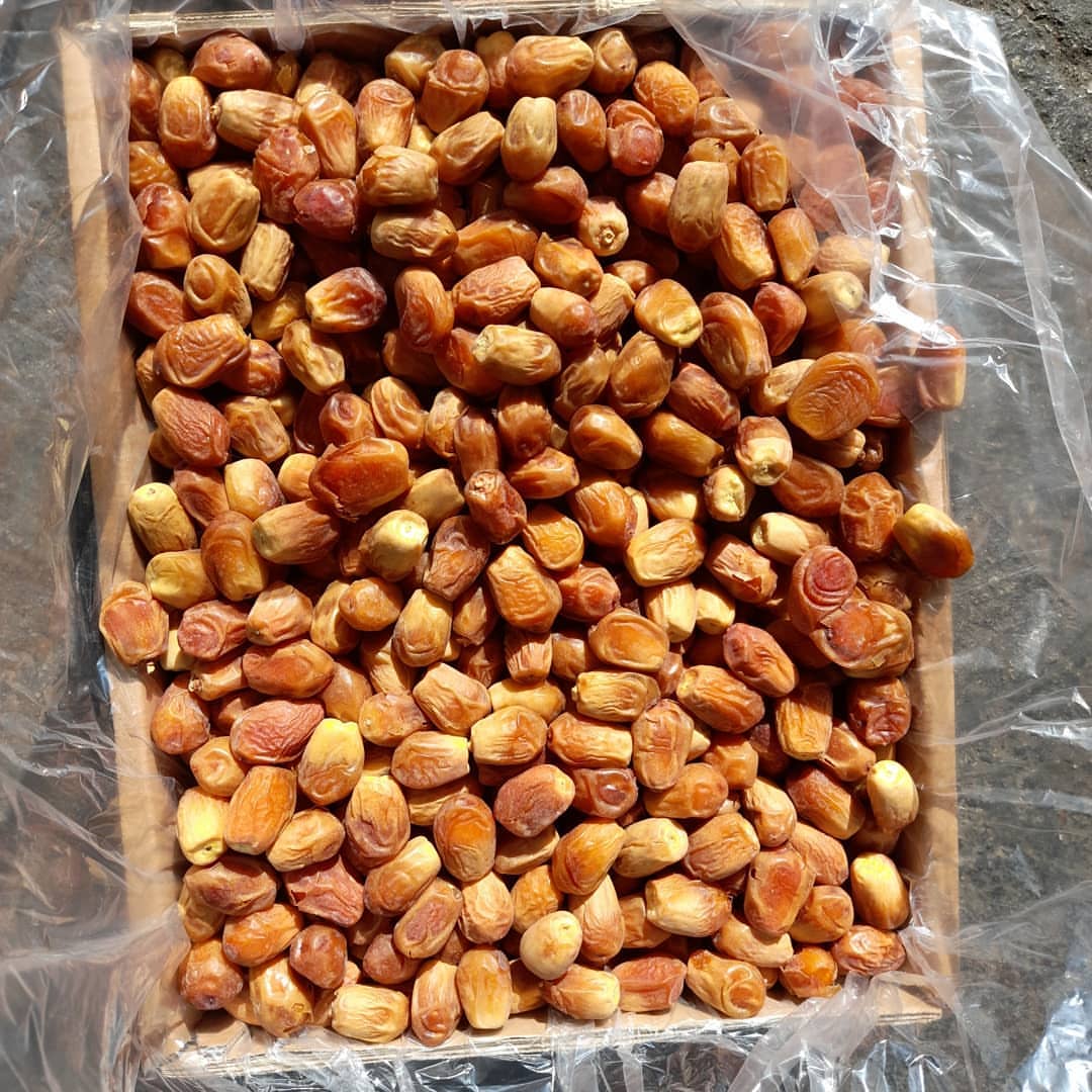 تصویر 4 از فروش خرما زاهدی عمده با قیمت کارخانه