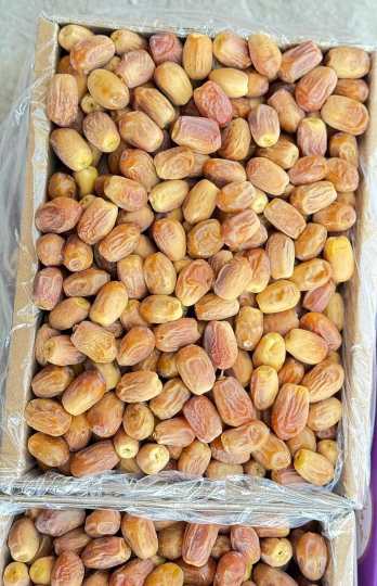 تصویر 1 از تأمین کننده خرما زاهدی ایران با قیمت عمده
