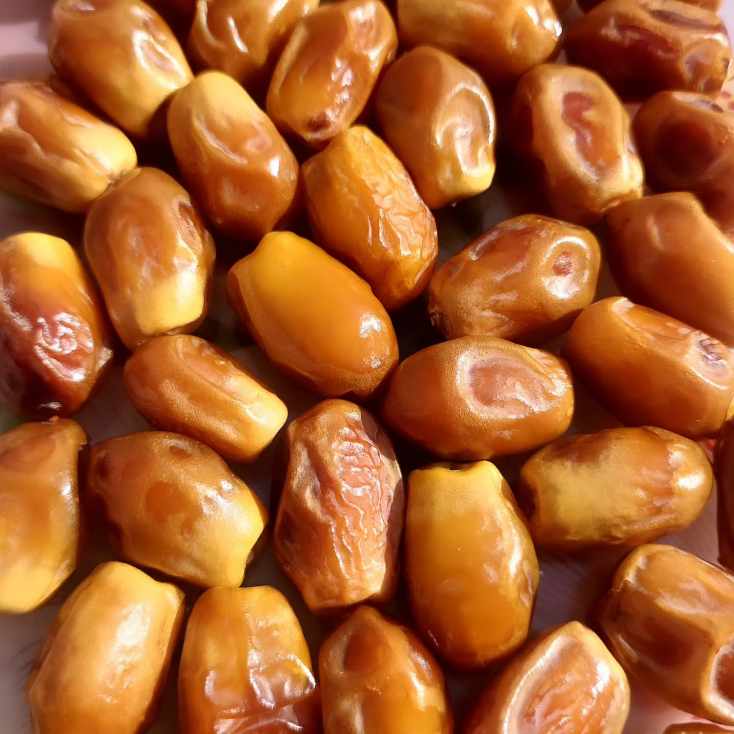 تصویر 4 از تأمین کننده خرما زاهدی ایران با قیمت عمده