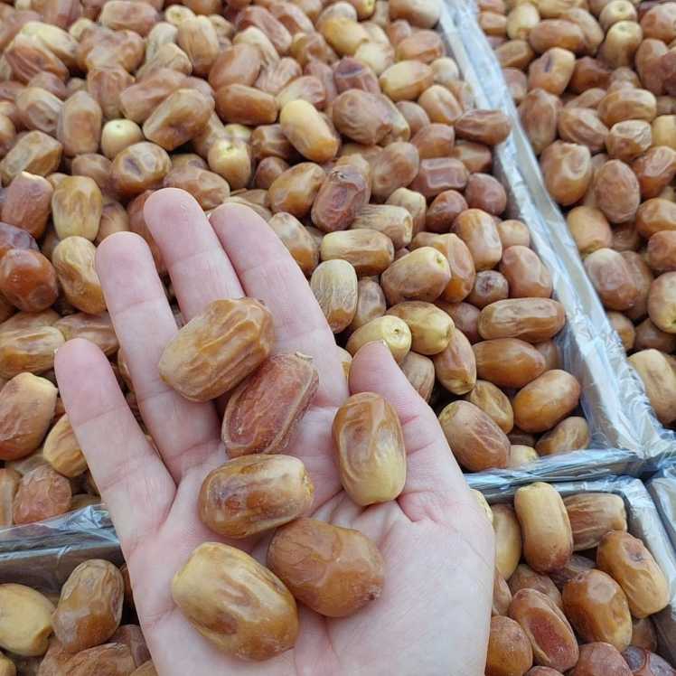 تصویر 1 از تولیدکننده خرما زاهدی صادراتی