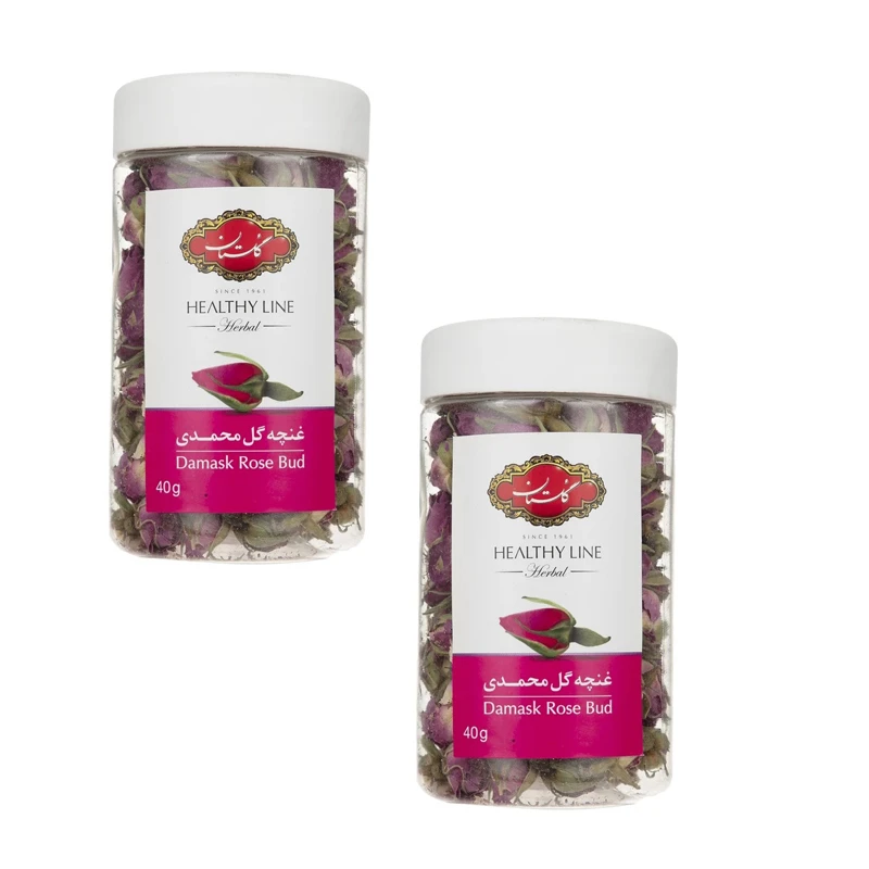 غنچه گل محمدی گلستان با عطر طبیعی و رنگ دلنشین