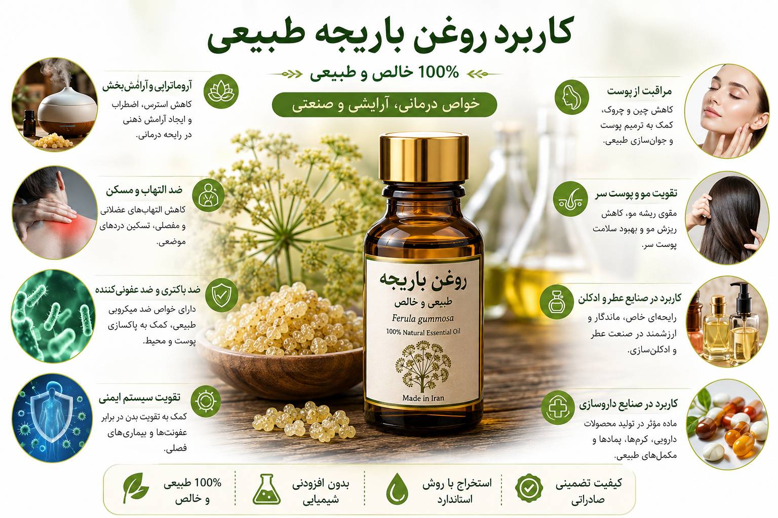 کاربرد روغن باریجه طبیعی
