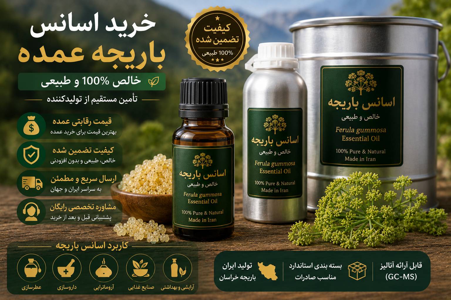 خرید اسانس باریجه عمده