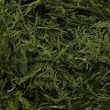تصویر 1 از خرید شوید خشک درجه یک با قیمت عالی + ارسال فوری و کیفیت تضمینی