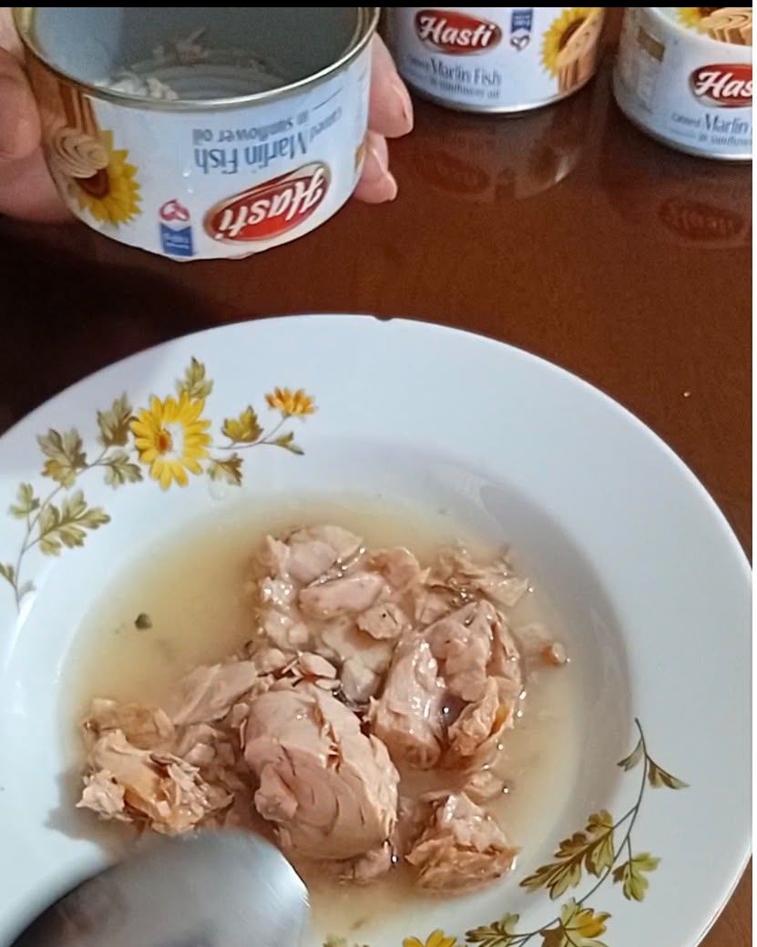 فروش عمده کنسرو ماهی هستی