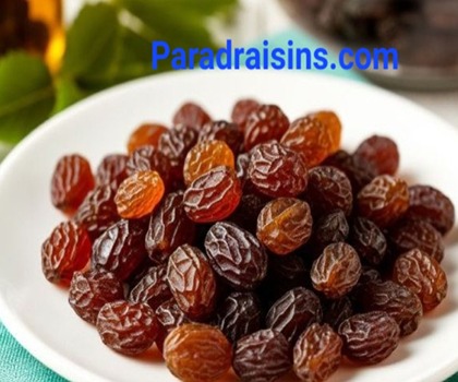 خرید انواع کشمش