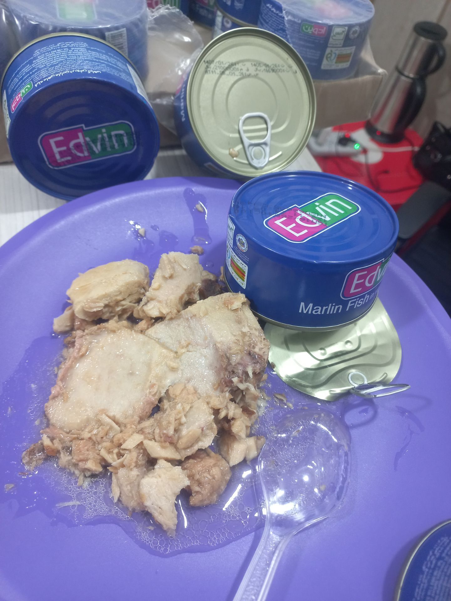 فروش عمده کنسرو ماهی ادوین