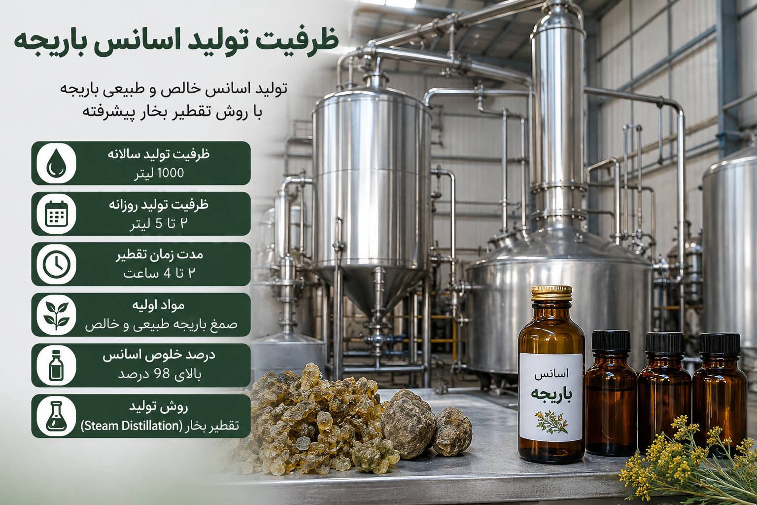 ظرفیت تولید اسانس باریجه