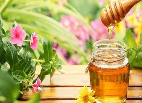 تصویر 4 از قیمت عسل گلدره با کیفیت وارزان + خرید عمده