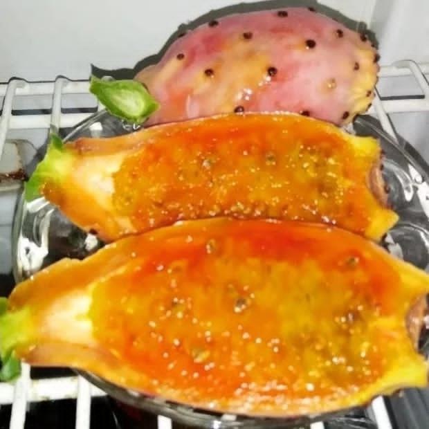 تصویر 3 از خرید عمده گلابی مالتا