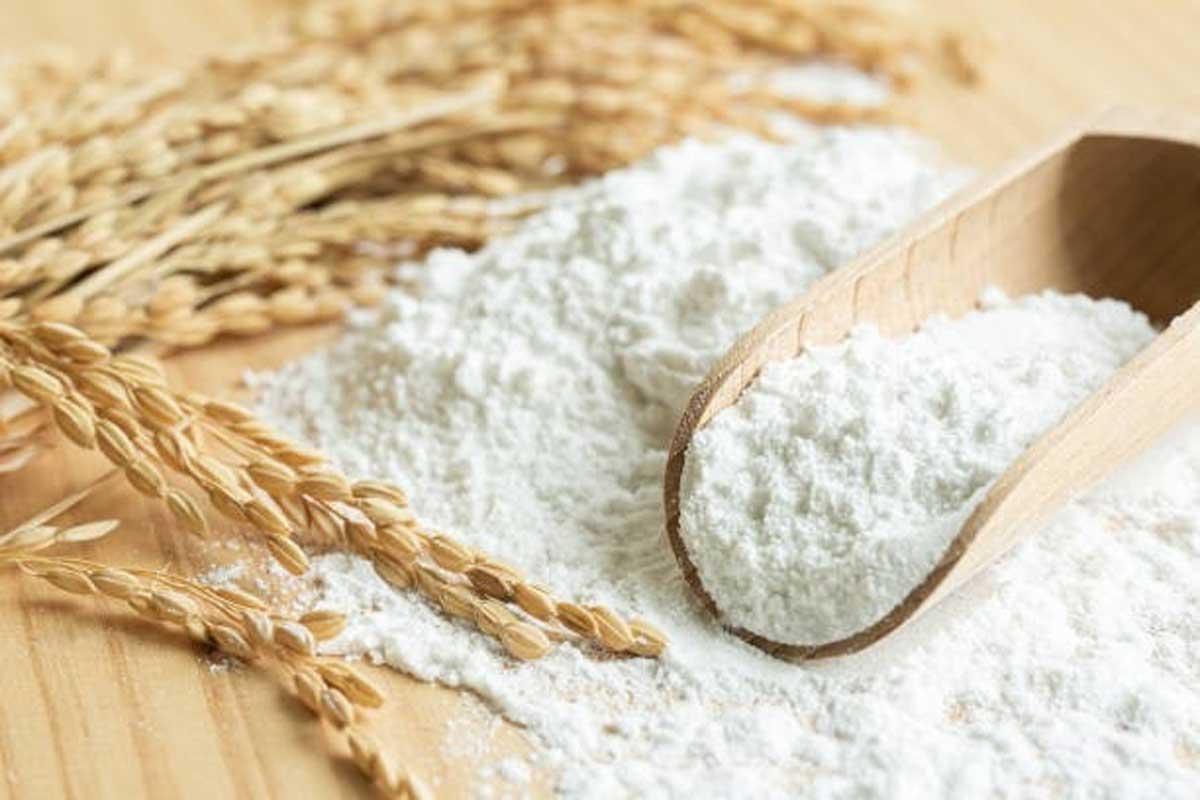 خرید عمده نشاسته پودری گندم + مناسب صنایع غذایی، قنادی و تولیدی