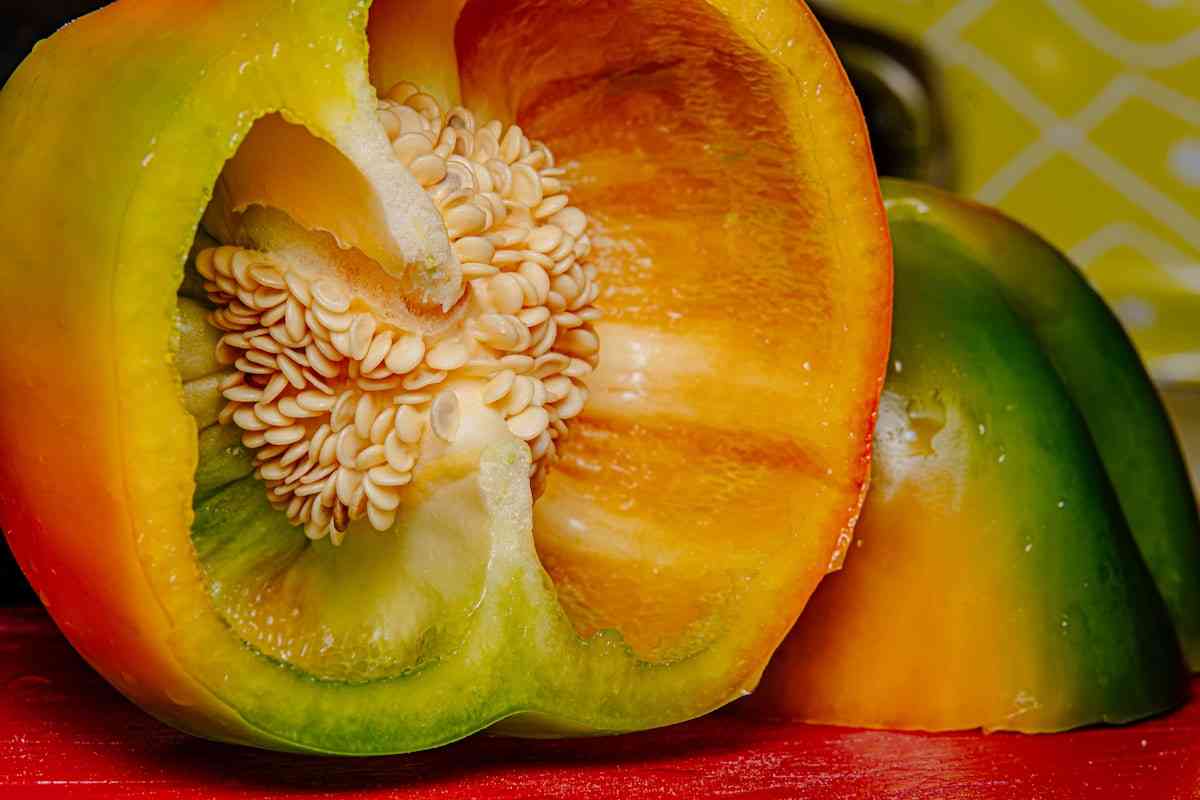 تصویر 3 از فروش عمده فلفل دلمه ای رنگی خوش طعم و گوشتی