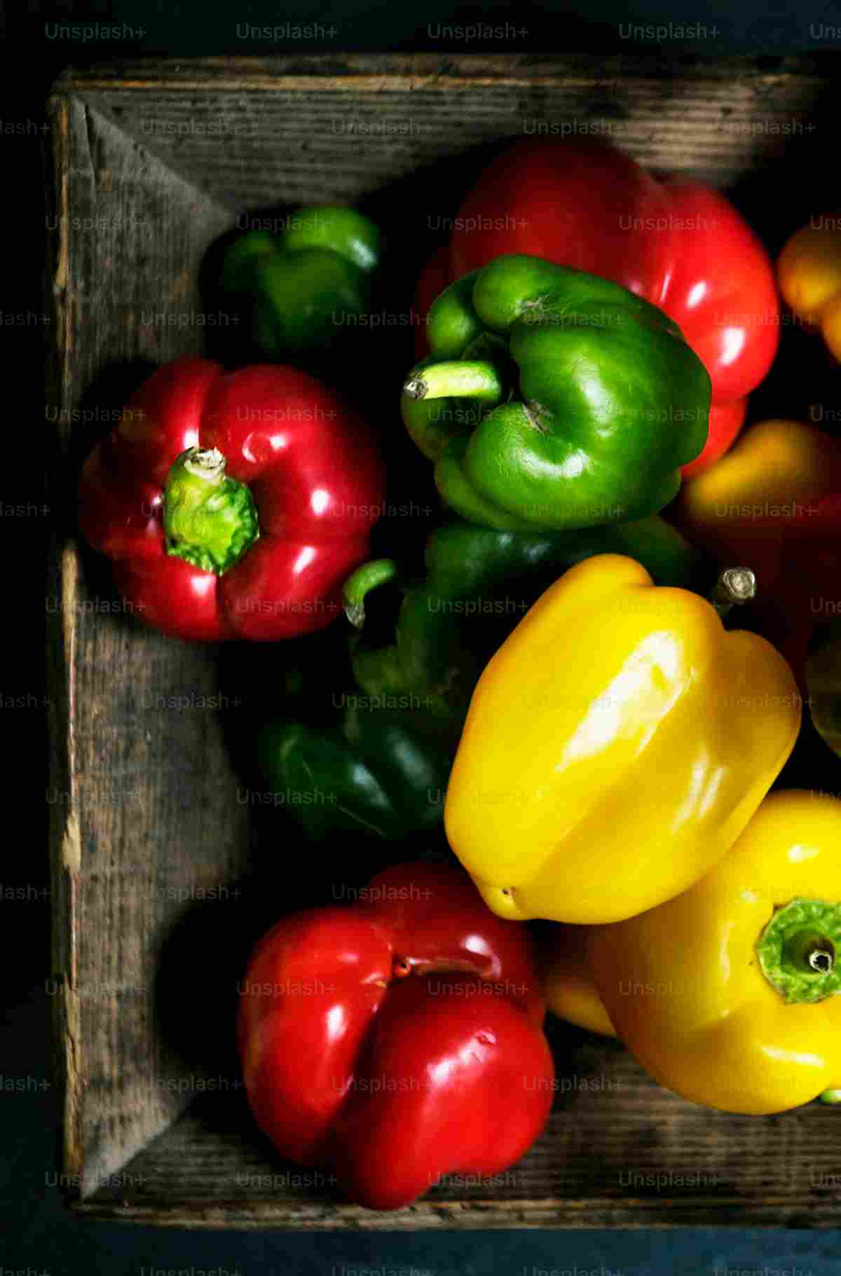 تصویر 3 از خرید عمده فلفل دلمه ای رنگی