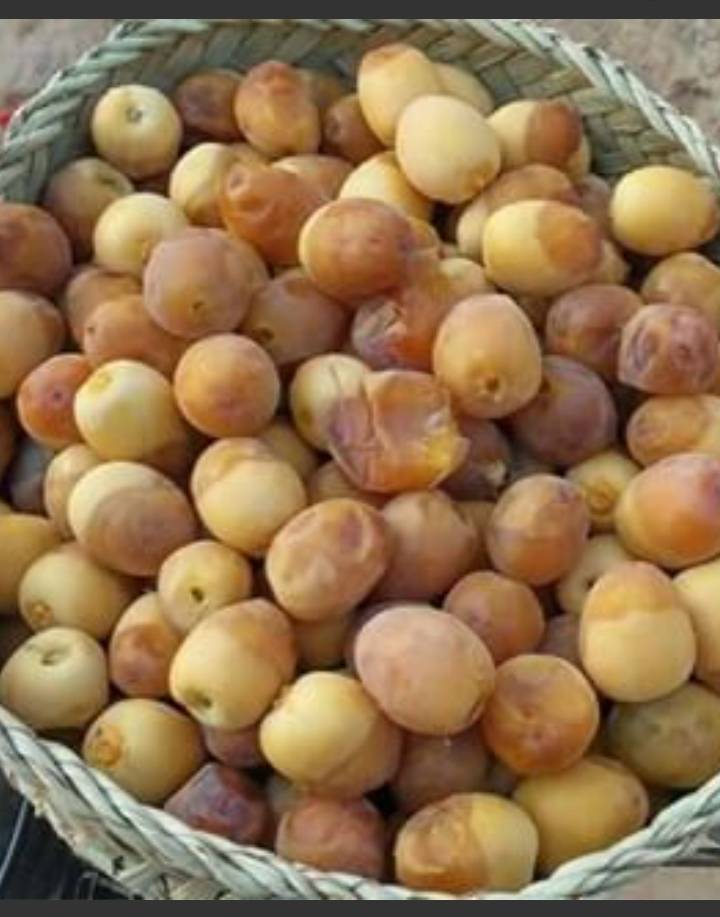رطب برحی عسلی آبادان
