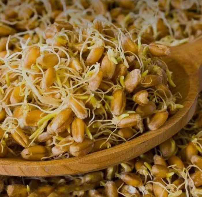تصویر 3 از فواید پودر جوانه گندم برای ورزشکاران حرفه ای