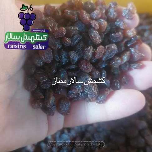 تصویر 4 از تضمین کیفیت کشمش تیزابی بی‌دانه