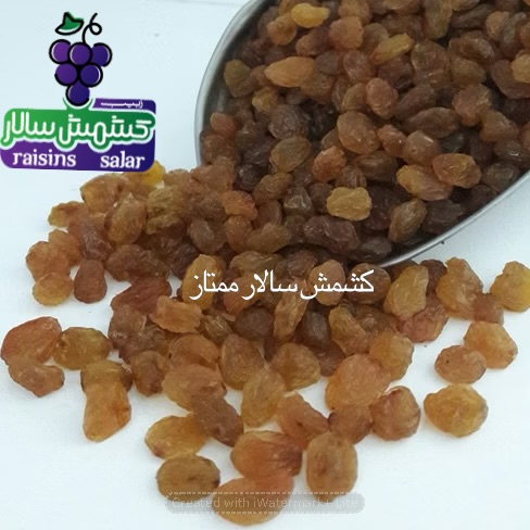 کشمش تیزابی بیدانه صادراتی ملکان