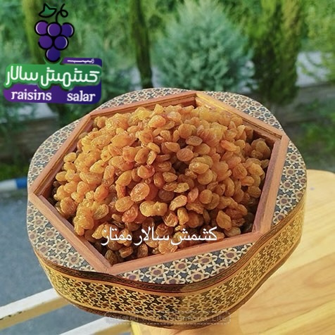 فروش کشمش تیزابی بی‌دانه قزوین