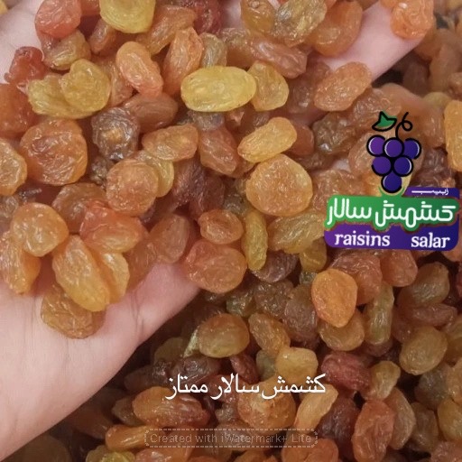 تصویر 4 از فروش کشمش تیزابی بی‌دانه قزوین