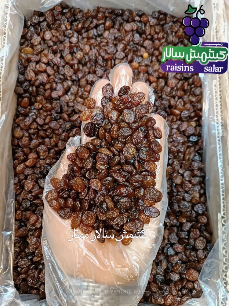 تصویر 1 از قیمت کشمش تیزابی بدون هسته