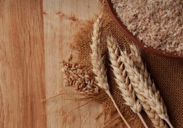 تصویر 3 از پودر جوانه گندم برای یبوست؛ آیا به رفع یبوست کمک می‌کند؟