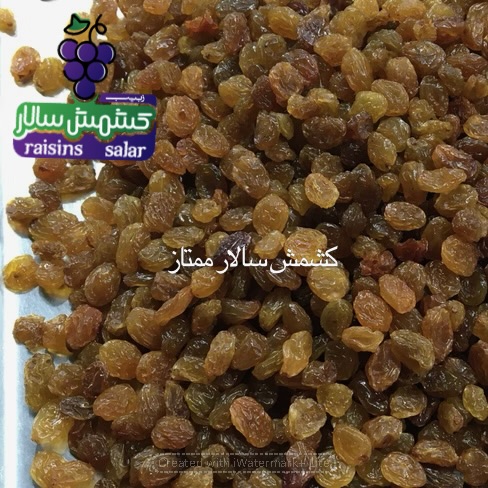تصویر 5 از فروش عمده کشمش بی‌دانه
