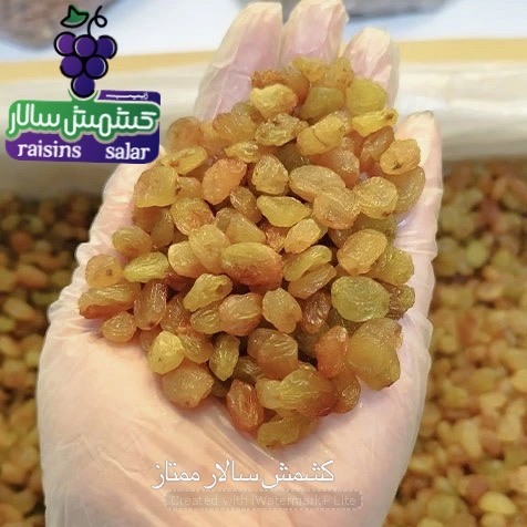 تصویر 2 از کشمش تیزابی بیدانه رطوبت استاندارد