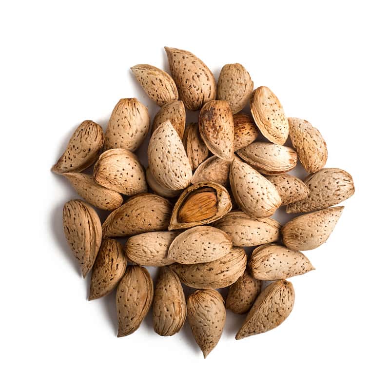 بادام درختی خام مرغوب و باکیفیت با بالاترین ارزش غذایی