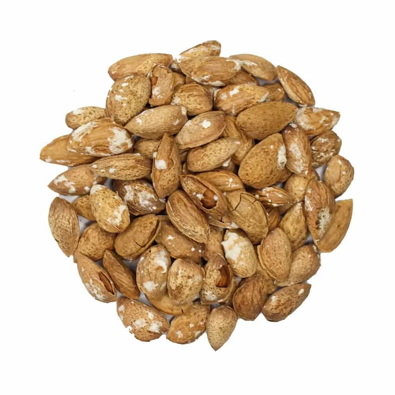 بادام درختی نمکی برشته و ترد با طعم فوق العاده خوشمزه