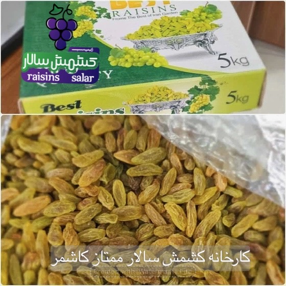 تصویر 5 از کشمش سبز کاشمر بدون گوگرد