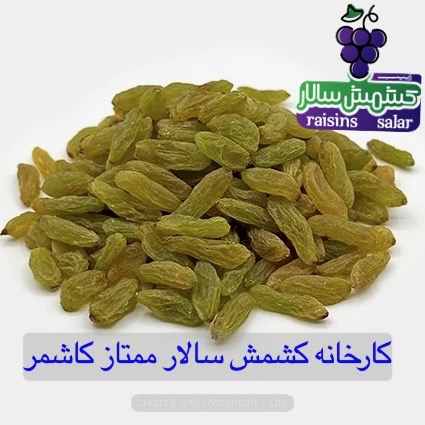 تصویر 4 از خرید عمده کشمش سبز پیکامی