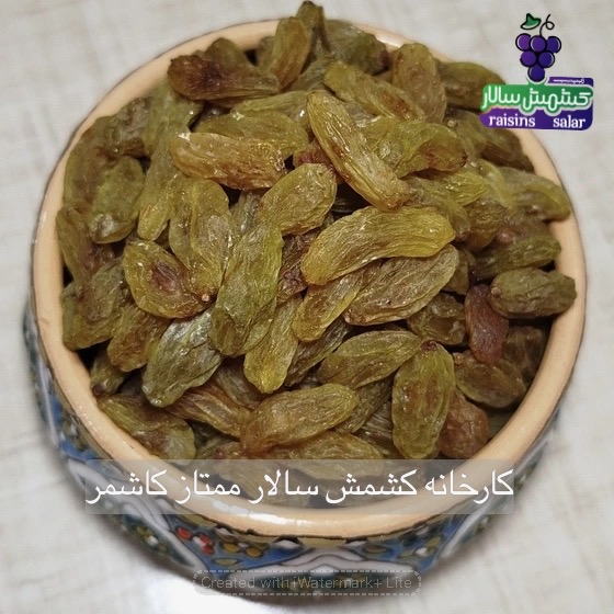 تصویر 5 از خرید عمده کشمش سبز پیکامی