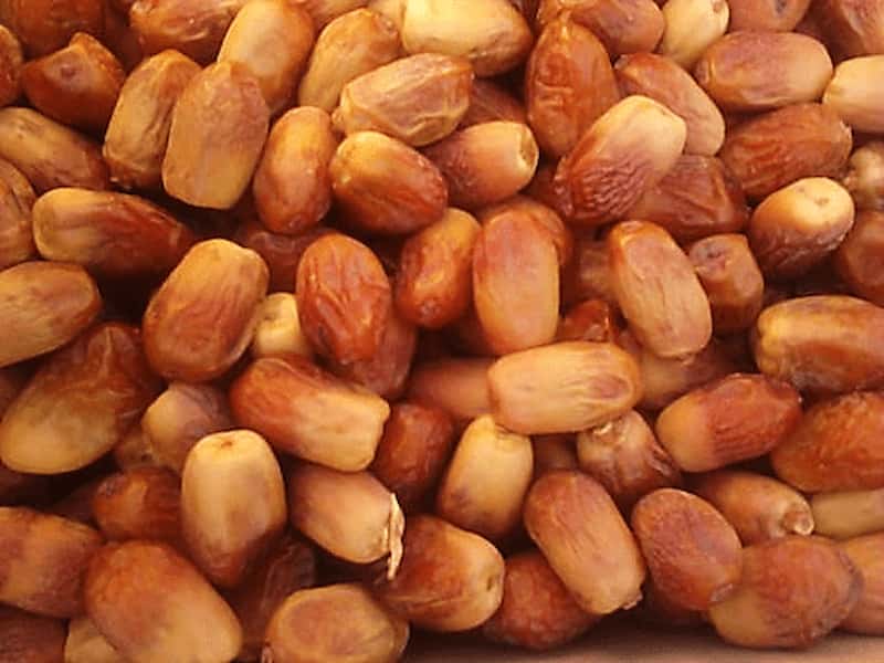خرما زاهدی لوکس با ظاهر یکدست و کیفیت ممتاز