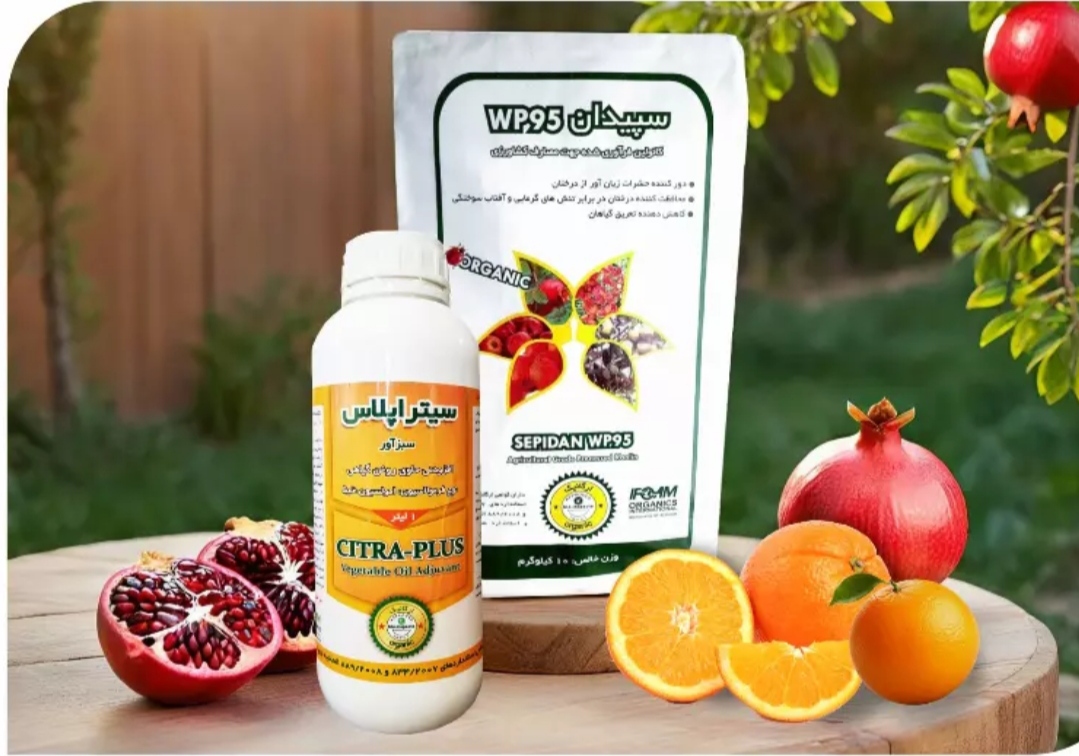 تصویر 2 از خرید مستقیم روغن ولک + تولیدکننده