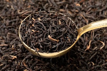 فروش مستقیم چای شمال؛ خرید مطمئن با قیمت بهتر