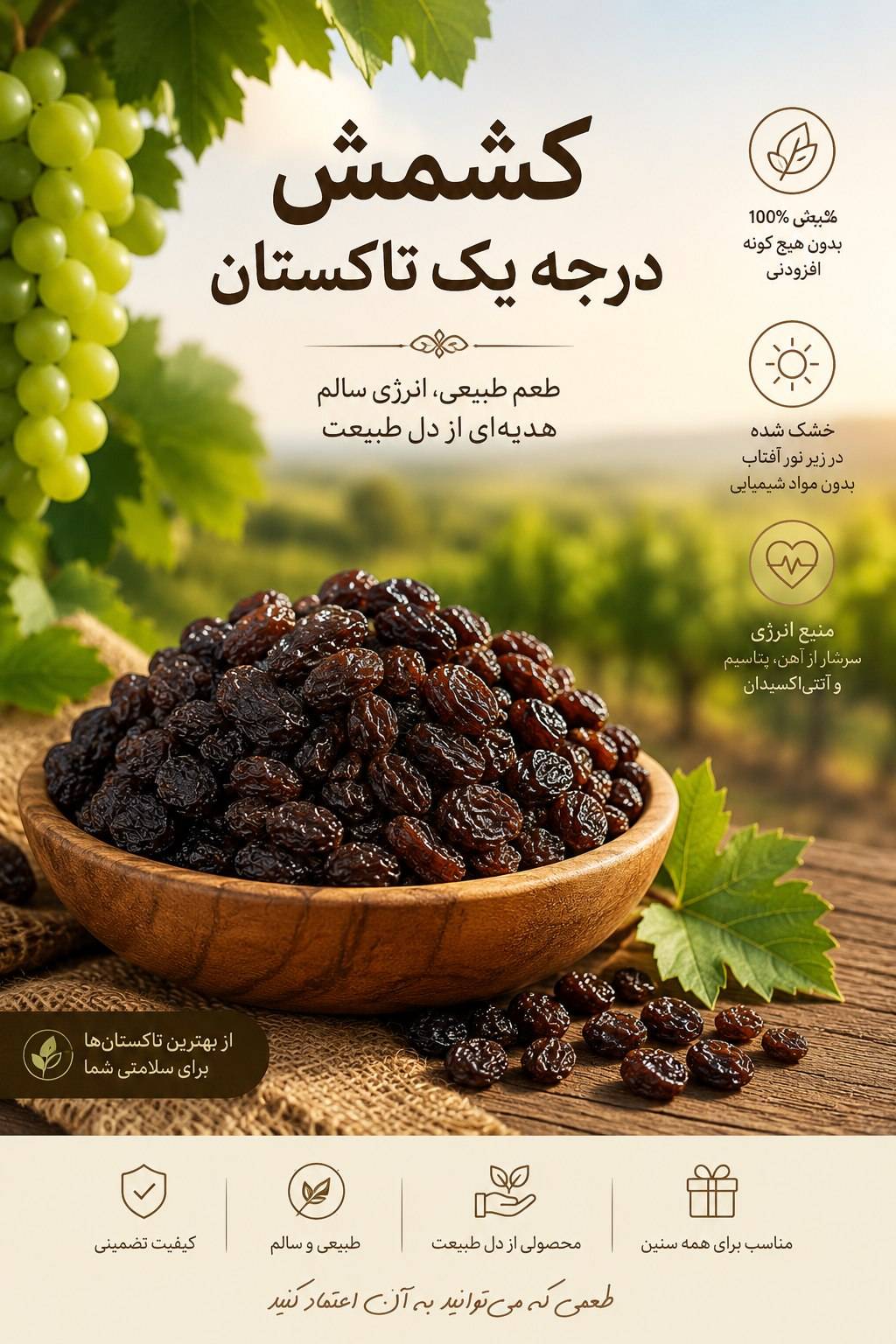 تصویر 3 از کشمش آفتابی تک تاک
