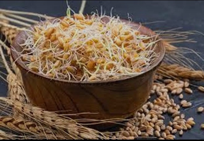 تصویر 3 از پودر جوانه گندم برای افزایش انرژی در رژیم وگان