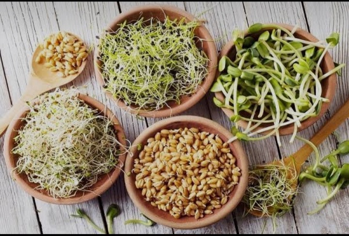 تصویر 1 از پودر جوانه گندم برای رژیم وگان و سلامت گوارش