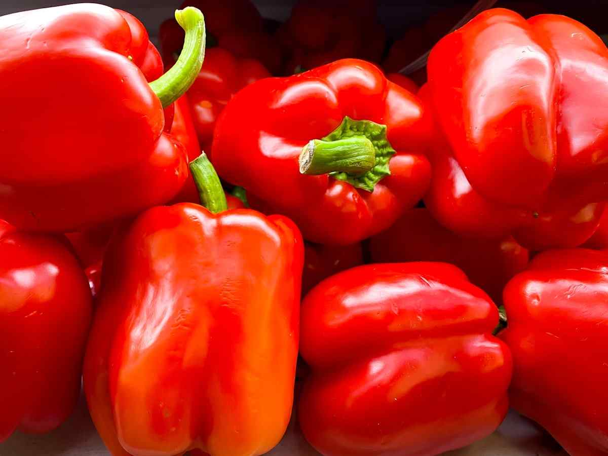 تصویر 1 از فلفل دلمه ای قرمز سورت شده مناسب بازار داخلی