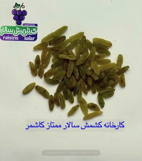 صادرات کشمش سبز به اروپا