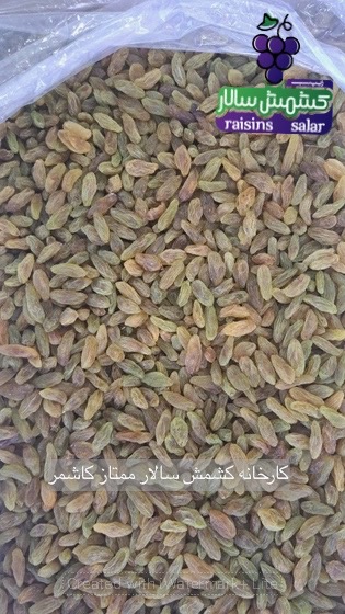تصویر 4 از کشمش سبز قلمی درجه یک