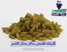 تصویر 1 از فروش عمده کشمش سبز کاشمر