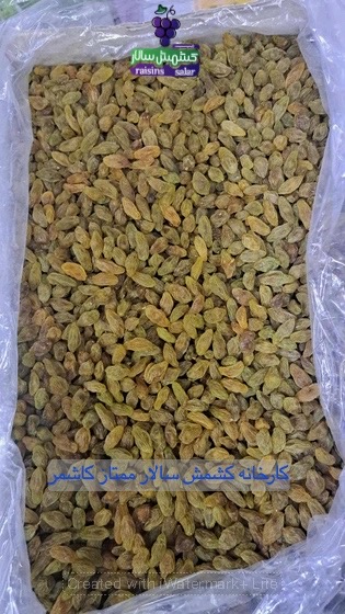 تصویر 4 از فروش عمده کشمش سبز کاشمر