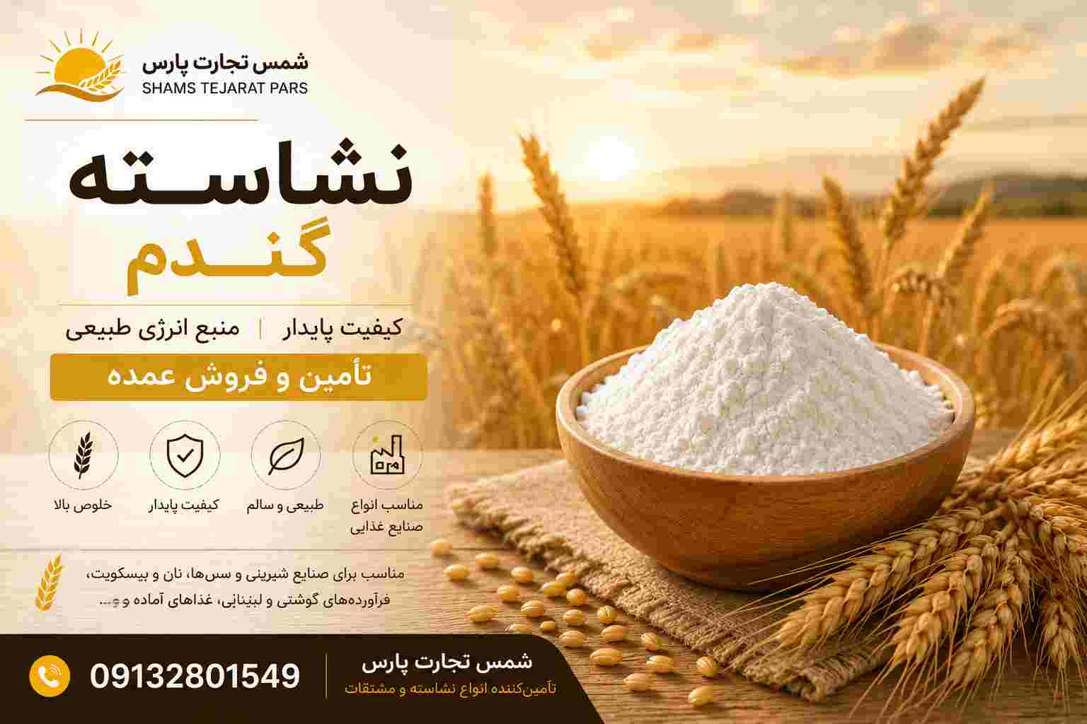 خرید عمده نشاسته گندم + قیمت روز و تأمین مستقیم