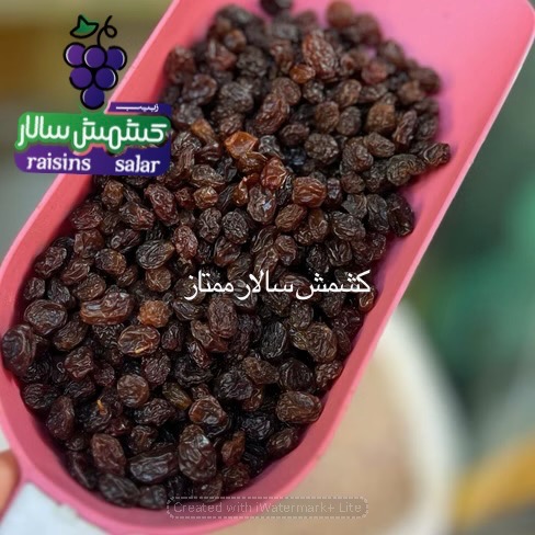 خرید کشمش پلویی آفتابی درجه یک با کیفیت