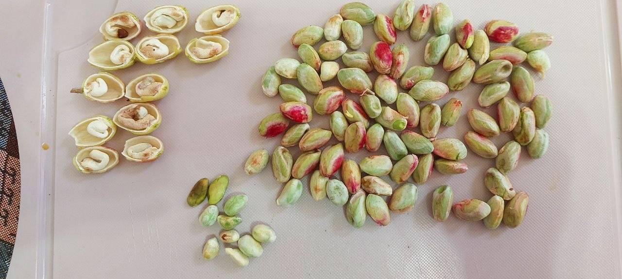تصویر 3 از خرید و فروش پسته لوکس رفسنجان